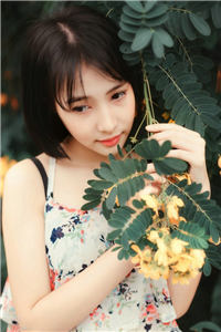 (全章节)32719132小说-32719132黎落落许墨修在线阅读