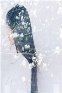 他的意中人从不是她全集小说 阮瑶封承瑾全章节阅读