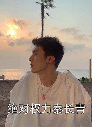 绝对权力秦长青小说全文他乡的灯火免费阅读