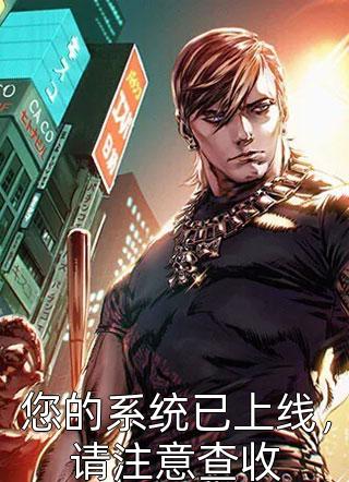 您的系统已上线，请注意查收丛南道小说免费阅读