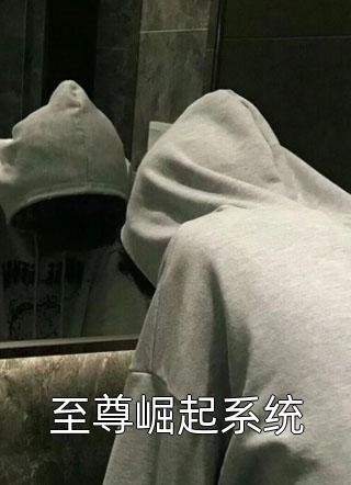 最新小说至尊崛起系统免费阅读