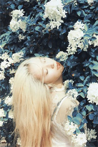 (醒来拭泪几行)小说全章节阅读