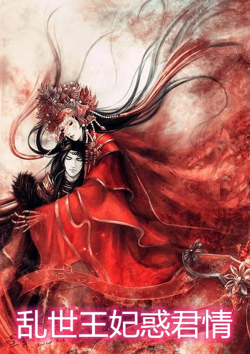 乱世王妃惑君情