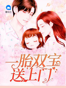 [完结]一胎双宝送上门全章节阅读
