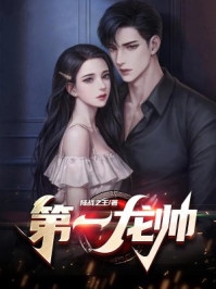 小说第一龙帅叶飞瞳主角为叶飞瞳叶重免费阅读