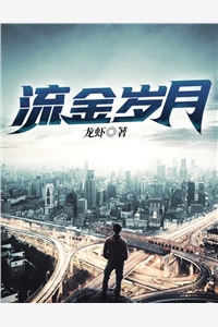 流金岁月龙虾大结局小说全章节阅读