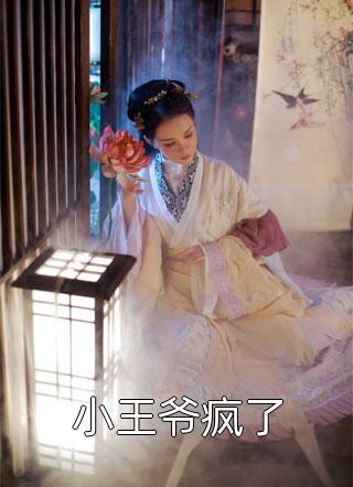 小王爷疯了星辰玖小说全章节最新阅读