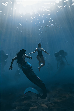 免费小说最新章节阅读《云鬓花颜金步摇》林兮顾寒