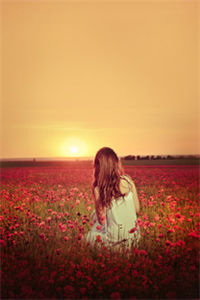 保研泡汤(顾筱江雪)完结版小说章节