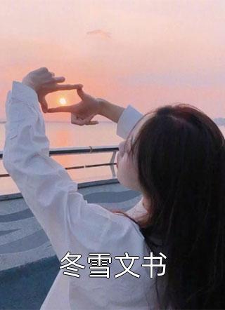 冬雪文书冬日微暖最新小说全文阅读