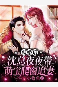 离婚后沈总夜夜带萌宝爬窗追妻