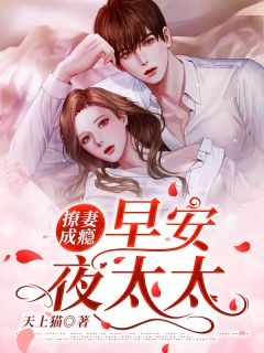 撩妻成瘾：早安，夜太太天上猫小说免费阅读