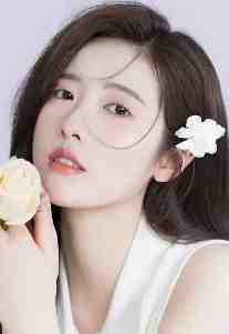 大唐全能驸马(刘文宣李丽质)未删减阅读