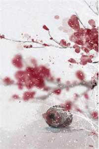 九重天凤栖宫凤烟卫青小说全文完结版阅读