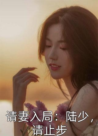 请妻入局：陆少，请止步戚戚小说全章节最新阅读