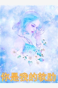 你是我的软肋小说