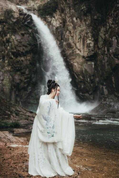 宫墙柳最新章节-宫墙柳全文免费阅读(梦娃)小说