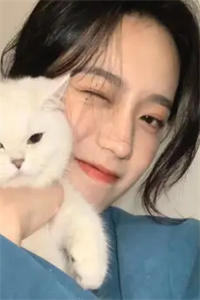 【推荐】金牌村长(陈翰王小月)无弹窗阅读