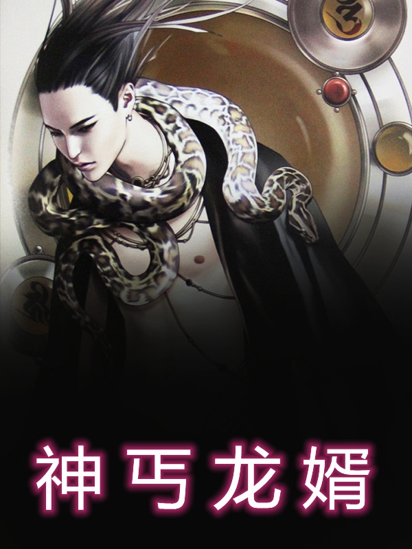 神丐龙婿