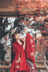 冷怡司徒翼天（完结小说）冷怡司徒翼全文小说免费阅读