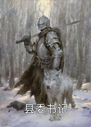 新上小说县委书记沧海而立最新章节阅读