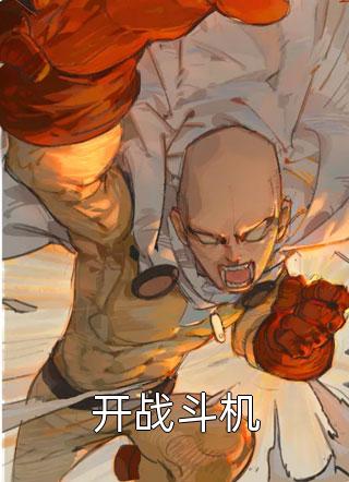 最新小说开战斗机免费阅读