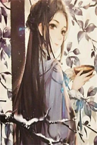 火爆新书《将军元毅辰》元毅辰沈怀妆全文全章节小说阅读