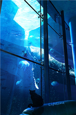 狂囤香水（薛辰张妙）小说全文章节阅读