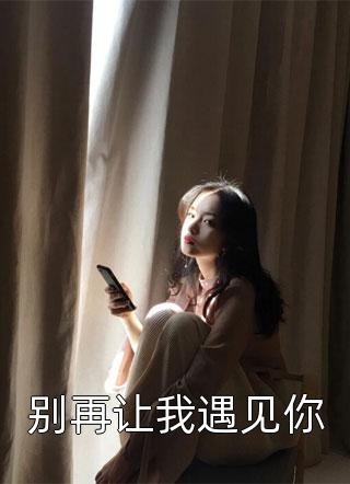 别再让我遇见你全本小说（别再让我遇见你）全文阅读