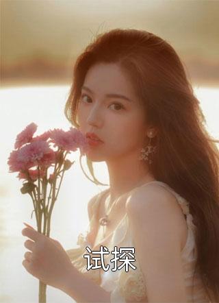 试探全本小说（试探）全文阅读