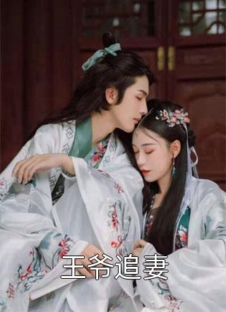 王爷追妻免费小说恩很宅全文阅读