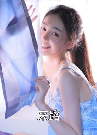 最新小说来路免费阅读