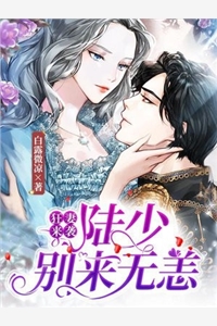 狂妻来袭陆少别来无恙洛诗宁陆肆年小说_狂妻来袭陆少别来无恙完结版阅读