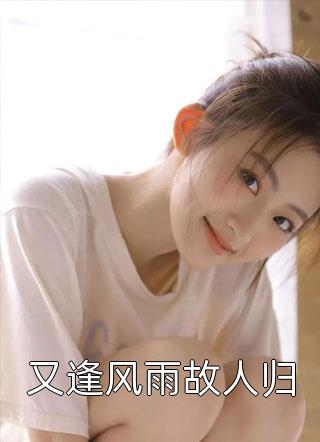 最新小说又逢风雨故人归免费阅读