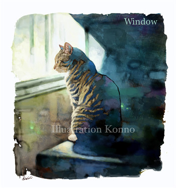 叶眠眠陆厉琛小说【37189】完整版小说内容免费阅读