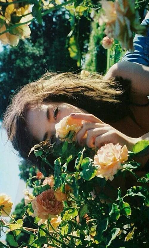 再见前男友小说沈思谦林一婵全文小说章节列表阅读