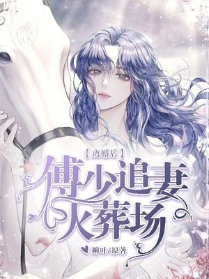 离婚后傅少追妻火葬场苏晚轻傅夜琛小说_离婚后傅少追妻火葬场完结版阅读