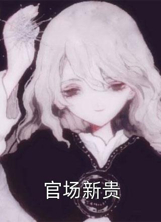 爆款小说官场新贵全文免费阅读