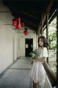 舔狗深情小说路知宋远山周沉-全文小说全章节目录阅读