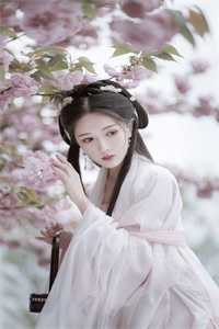 玄苍白嫣然小说《白嫣然玄苍/一世尘缘》全文完结阅读