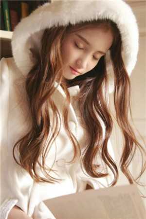 沈甄陆宴锦衣卫小说沈甄陆宴免费阅读 沈甄陆宴小说阅读