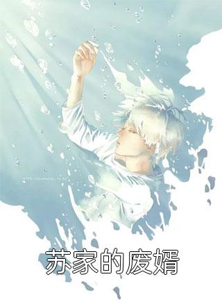 苏家的废婿生琳其境小说全章节最新阅读