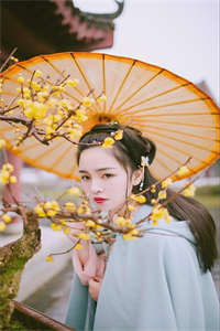 镇国将军府苏云绮乌勒淮全文小说章节目录阅读