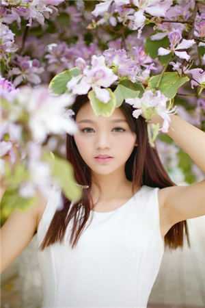 抗战之物流传奇(薛剑强)小说（薛剑强）全文完整版阅读