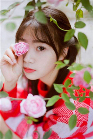 《追凶：少女的斗兽场》免费章节-小说秦幼全文阅读