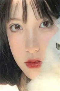 《林北星沈万森》完结版小说阅读