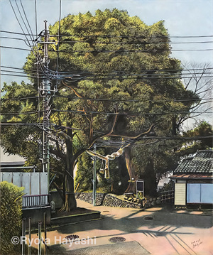 摄政王的独宠医妃薛苒公孙绯月全本章节小说资源目录免费阅读