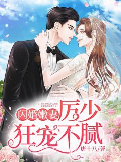 《闪婚总裁霸道宠》完结小说(全文在线阅读)