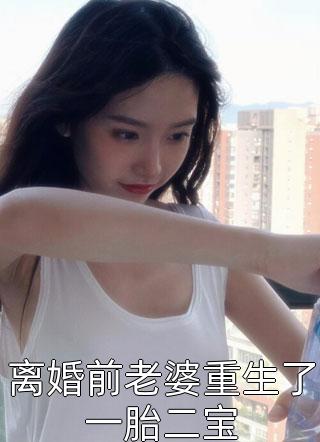 离婚前老婆重生了一胎二宝全本小说（离婚前老婆重生了一胎二宝）全文阅读