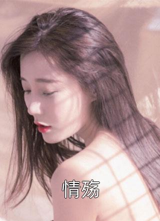 情殇小说 情殇免费阅读